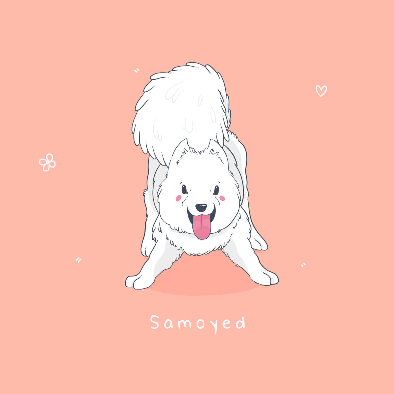Samoyed Play